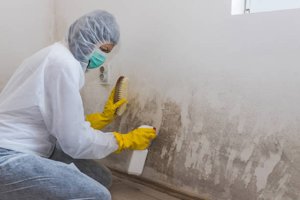 Best Post-Remediation Services in Fairfield University, CT