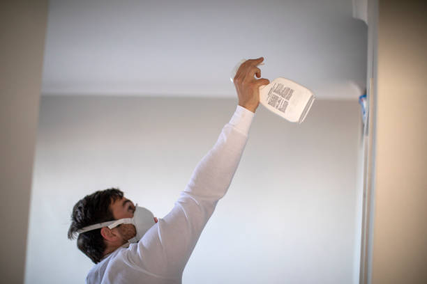 Best Black Mold Remediation in Fairfield University, CT